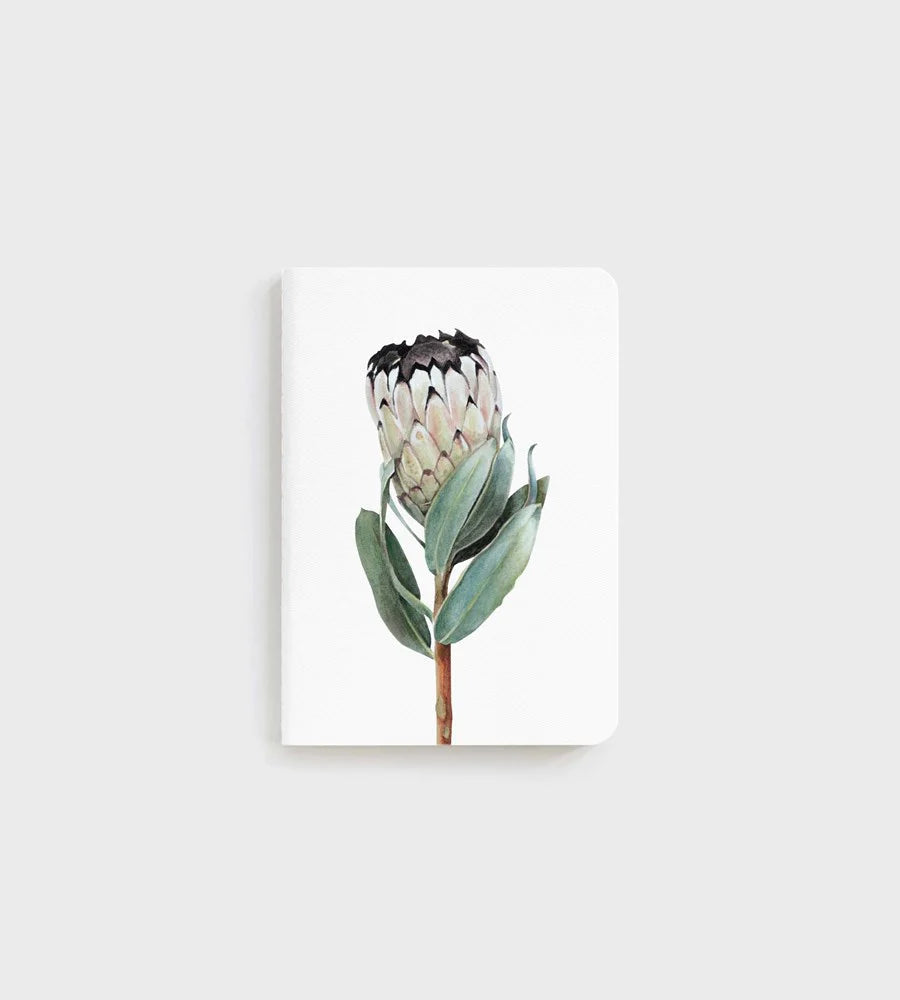 Father Rabbit Pocket Notebook Protea