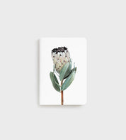 Father Rabbit Pocket Notebook Protea