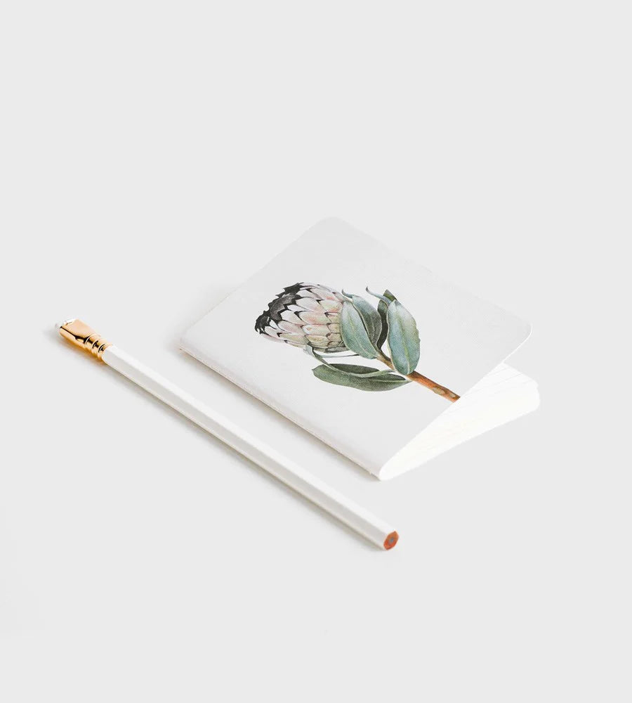Father Rabbit Pocket Notebook Protea