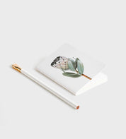 Father Rabbit Pocket Notebook Protea