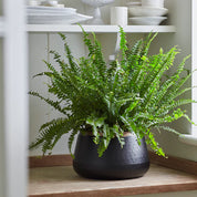 Oxted Sahara Sunset Metal Pot | Large