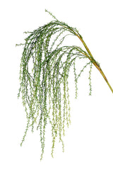 Flower System Weeping Willow Branch | 160cm