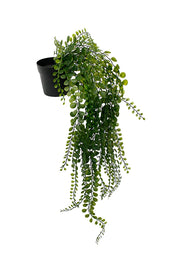 Flower Systems Hanging Eucalyptus Green 82cm