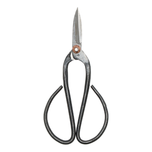Parnell Bonsai Shears - Large