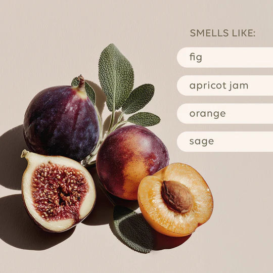 Home_Fragrance_USPS-04_2_540x_799fb2fc-310e-4482-8f56-97ac1be8ad30.webp