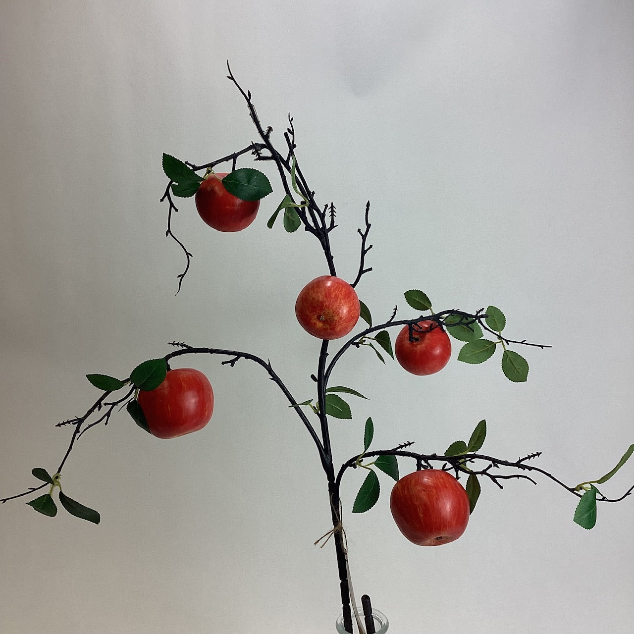 Alisons Acquisitions Apple Sprig | Red