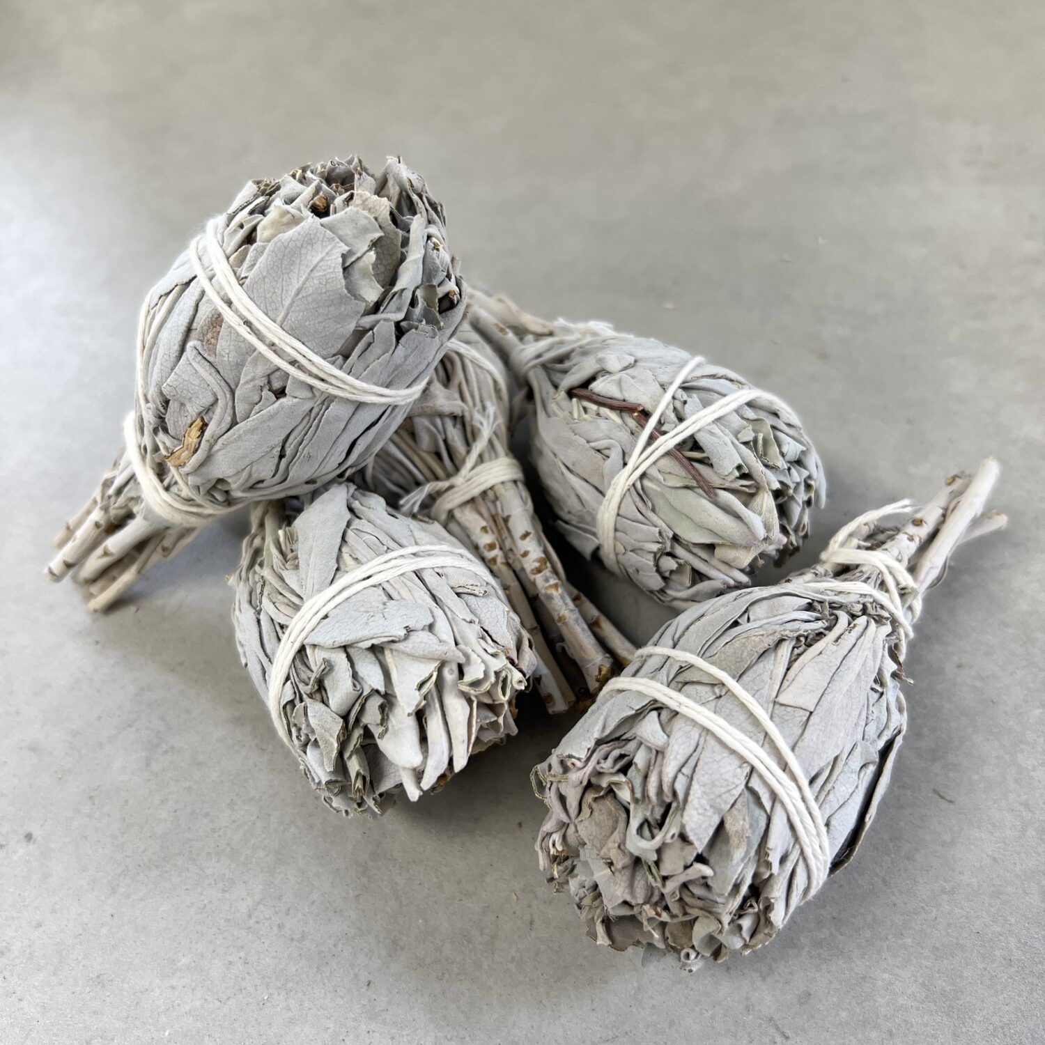 White Sage Smudge Stick | Mini