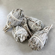 White Sage Smudge Stick | Mini