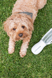 Thirsty Dog Drink Bottle