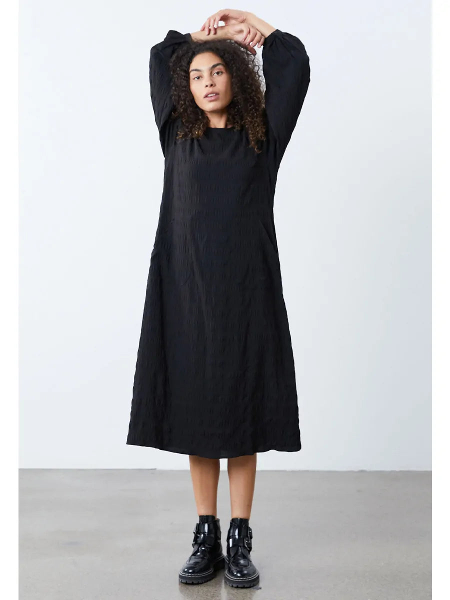 Lollys Laundry Lucas Dress | Black