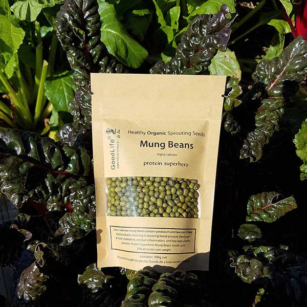 Sprouting Seeds Mung Beans | 100grm