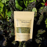 Sprouting Seeds Mung Beans | 100grm