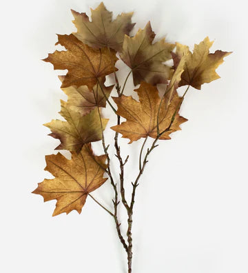 Late-Autumn-Maple----Rust_360x_004175c9-f7b3-4984-bb9d-3f9114fe352b.webp