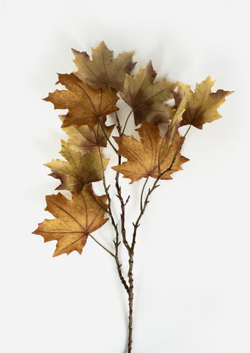 Allsion's Acquisitions Late Autumn Maple