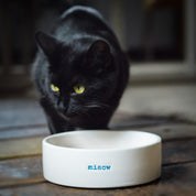 Keith Brymer Jones Cat Bowl | Miaow