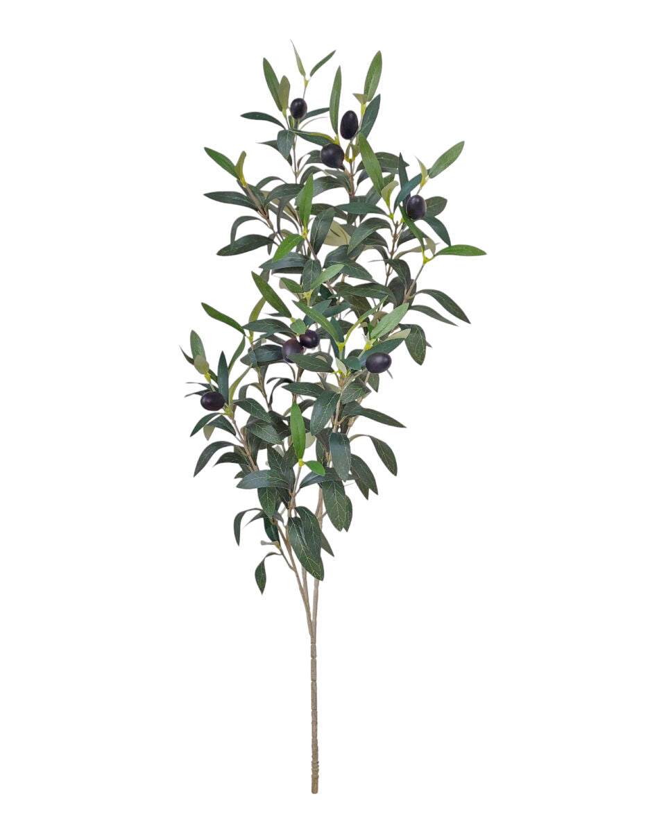 Alisons Acquisitions Olive Branch With Fruit | 80cm