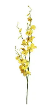 Alisons Acquisitions Tall wild Orchid Spray | Yellow