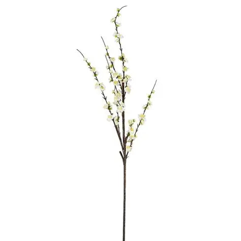 Alisons Acquisitions Japonica | White