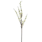 Alisons Acquisitions Japonica | White