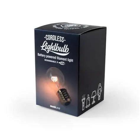 Cordless Lightbulb Light