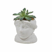 Fertile Minds Ceramic Planter Jane Austen