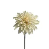 Alisons Acquisitions Tall Dahlia | White