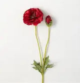 Alisons Acquisitions Anzac Poppy | Red