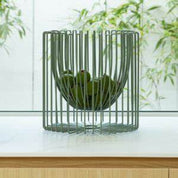 Ico Traders Fruit Bowl Sage