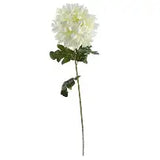 Alisons Acquisitions Italian Hydrangea | Aqua