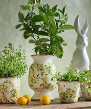 French Country Botanical Lemon Urn | 32cm