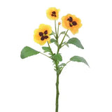 Alisons Acquisitions Pansey | Yellow