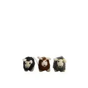 Woolburn Flock Of 3 Sheep | Mixed