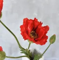 OIP_c3fef774-e8b8-4302-920e-73fdb0a918df.webp