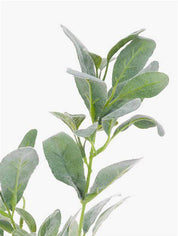 Alisons Acquisitions Lambs Ears | Grey Green