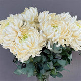 Alisons Acquisitions SMRE Mum Spray | Cream