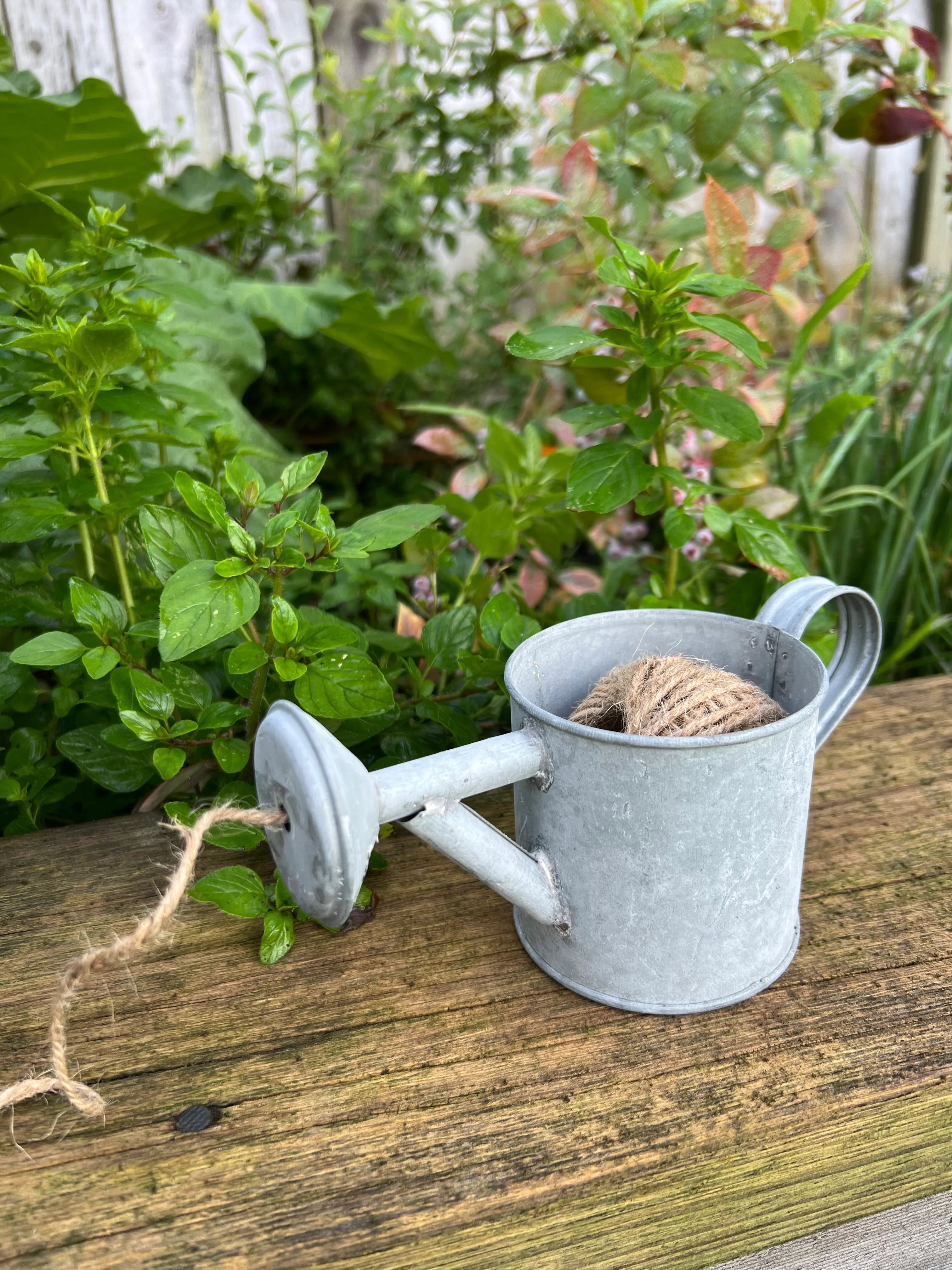 Watering Can | Old Zinc Rope Dispenser