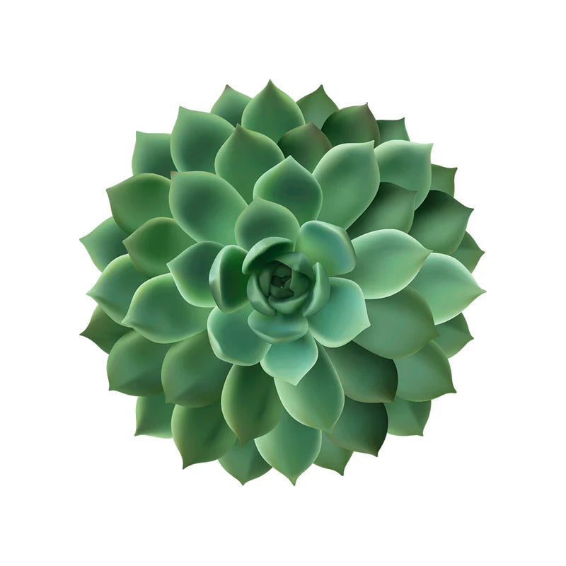 Podevache Placemat | Cactus