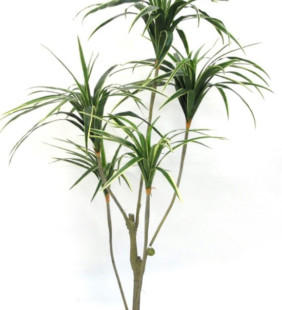 PL042-1.5GR_Medium_-692.jpg