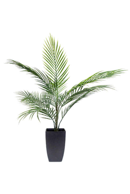 Potted Areca Palm 75cm