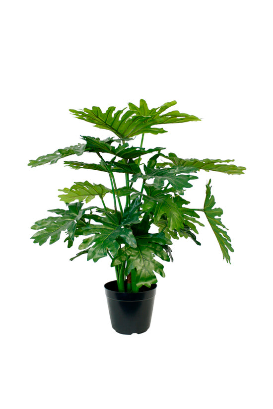 Artificial Philo Potted Plant