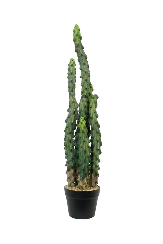 Flower System Cactus Potted | 81cm