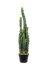 Flower System Cactus Potted | 81cm