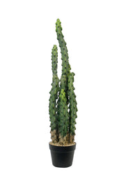 Flower System Cactus Potted | 81cm