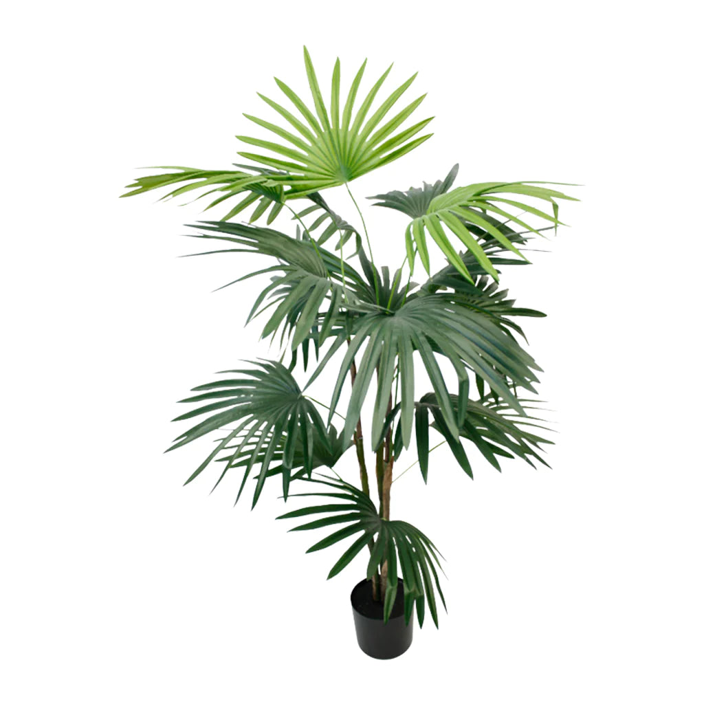 PL675-0.9_1024x1024_acdd666e-db68-4407-9928-d56bec4d0c69.webp