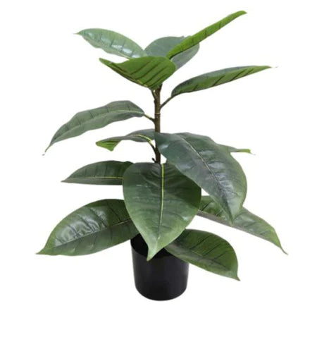 PL_20331_600x600_crop_center_3e8f1a0c-757d-43eb-a944-1e95e6788a20.webp