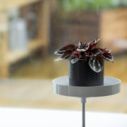 Esschert Window Sill Shelf | White