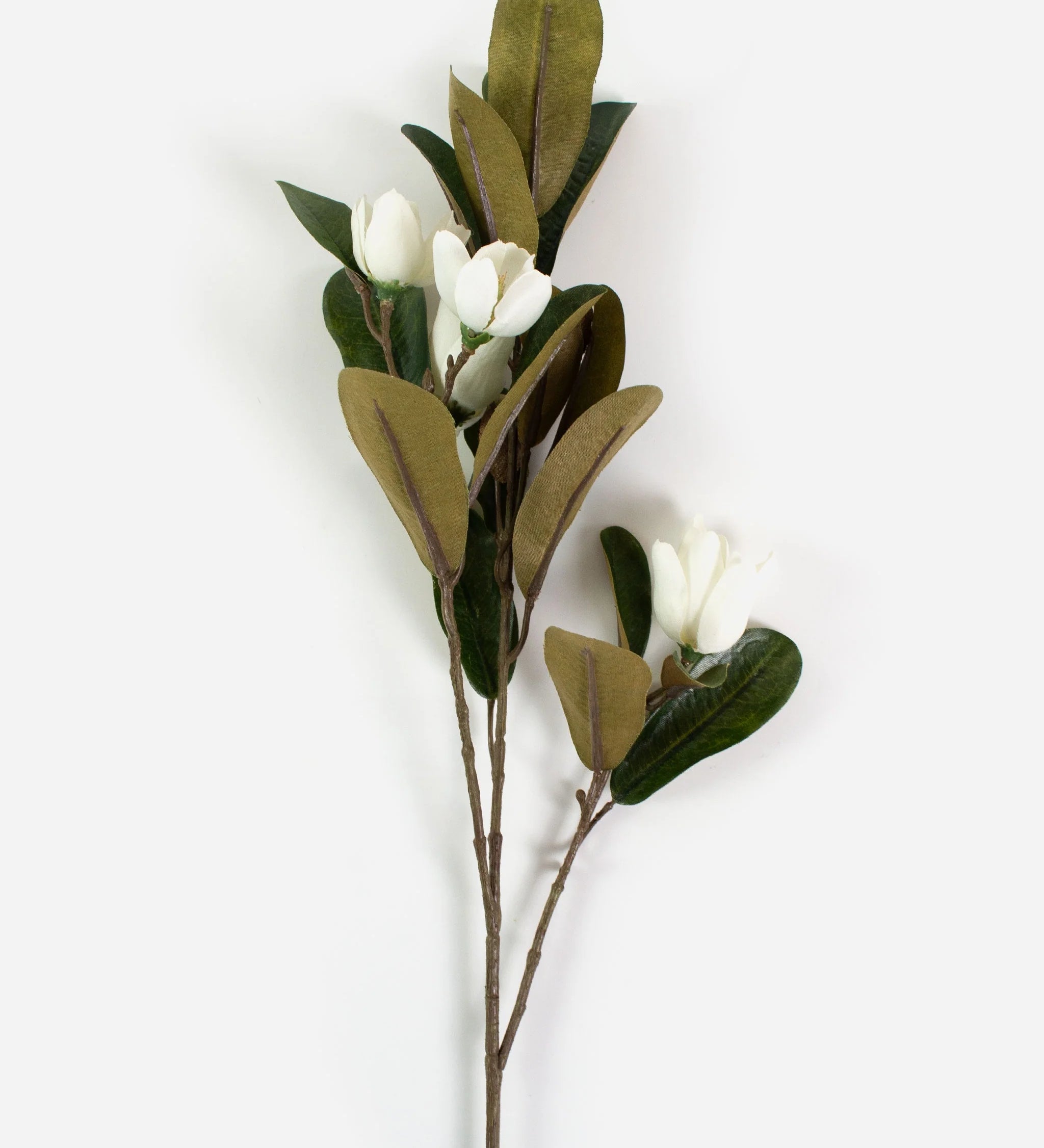 Pearl-Magnolia-Spray.webp