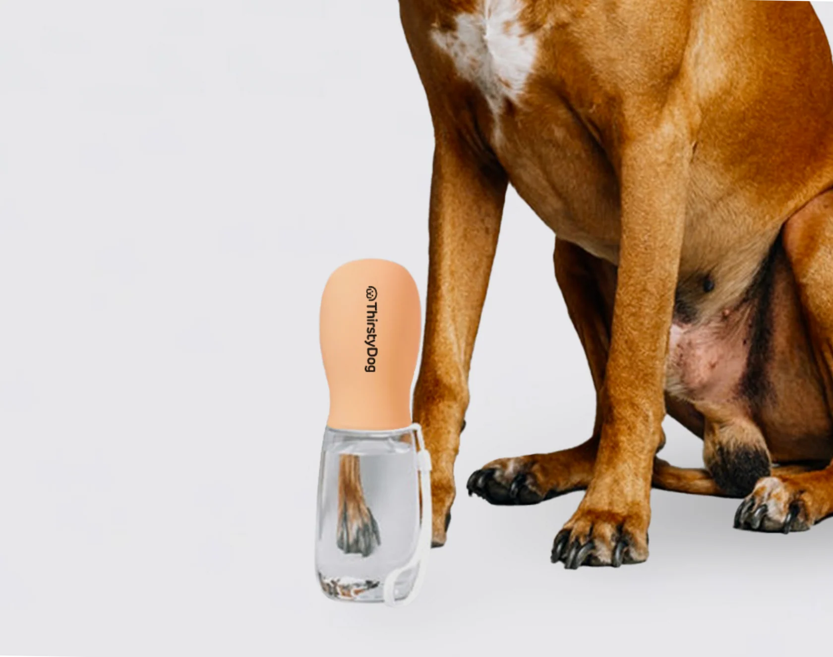 Thirsty Dog Drink Bottle