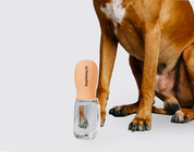 Thirsty Dog Drink Bottle