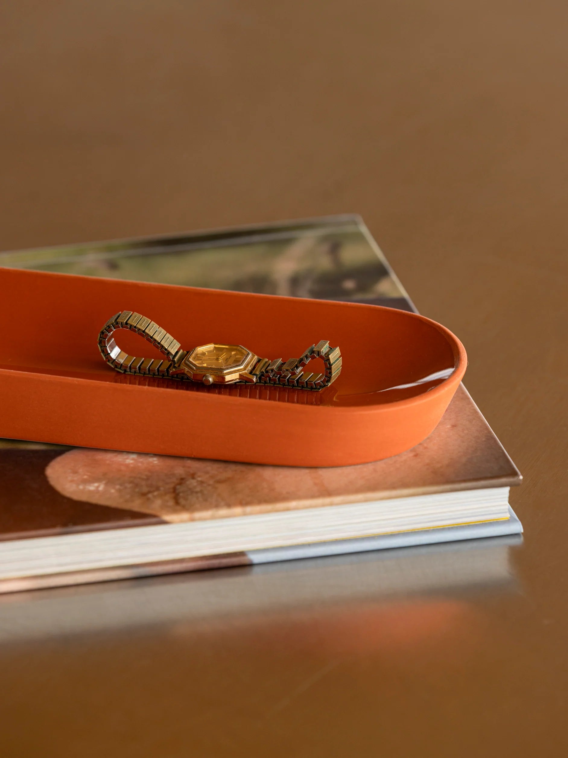 Citta Oblique Tray Brick | Rectangle Medium